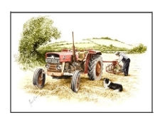 Massey Ferguson